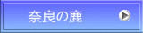 奈良の鹿